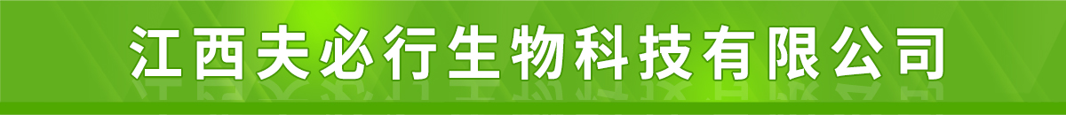 �������������Ƽ����޹�˾