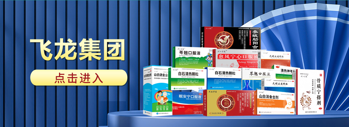 山東飛龍醫(yī)藥有限公司