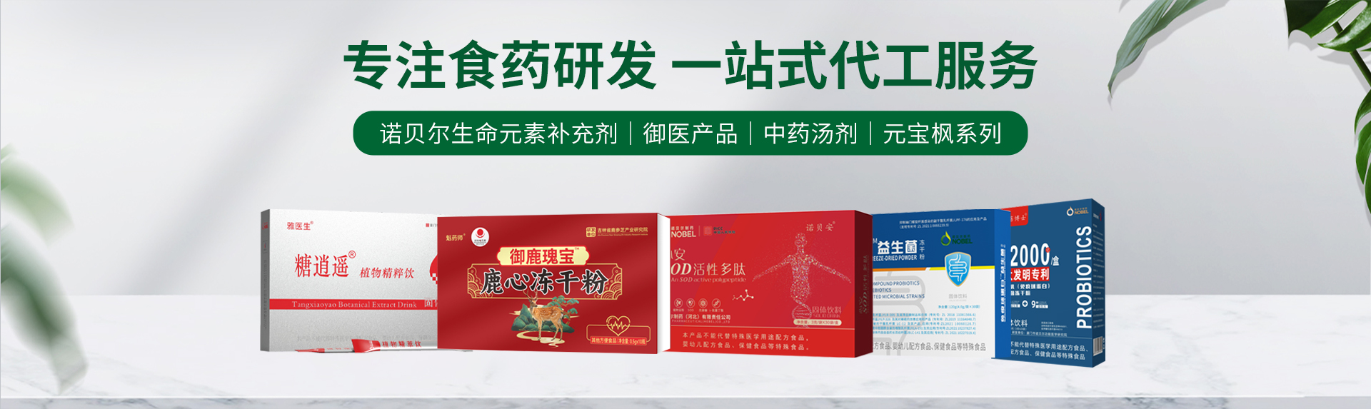 �Zؐ����ˎ�����������޹�˾