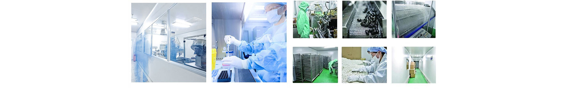 �Zؐ����ˎ�����������޹�˾