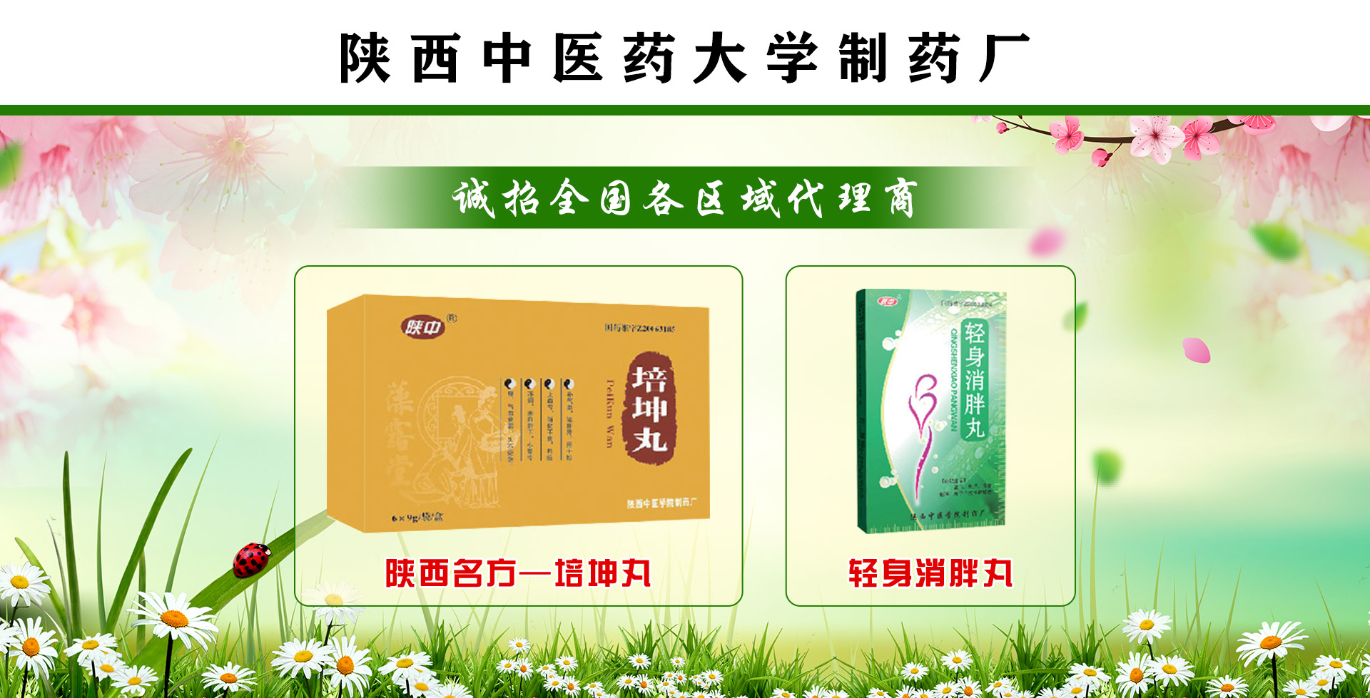 ������t(y��)ˎ��W(xu��)��ˎ�S(ch��ng)