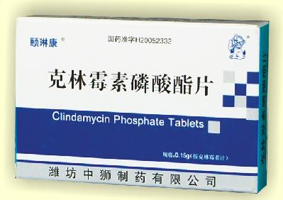 ����ù��������Ƭ