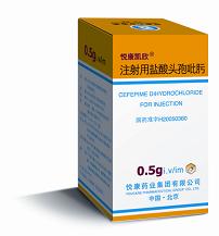 ע�����}���^�����