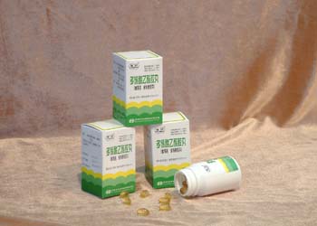 ��ϩ�������z��