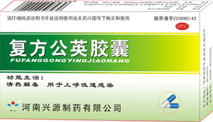 ��(f��)����Ӣ�z������|�f����