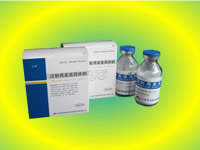 ע�������������c