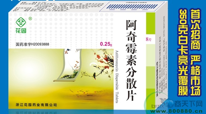 ����ù�ط�ɢƬ