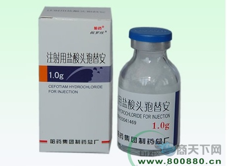 ע�����}���^���氲��ˎ���S