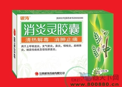 �����`�z��