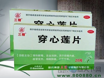 ��������ɏƬ����|�f����