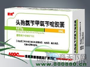 �^�߰��S�����S��z������|�f����