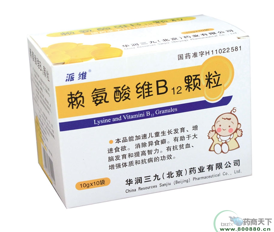 ه����SB12�w��