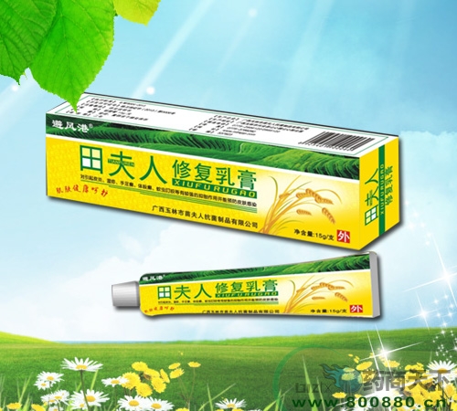 ������ޏ����