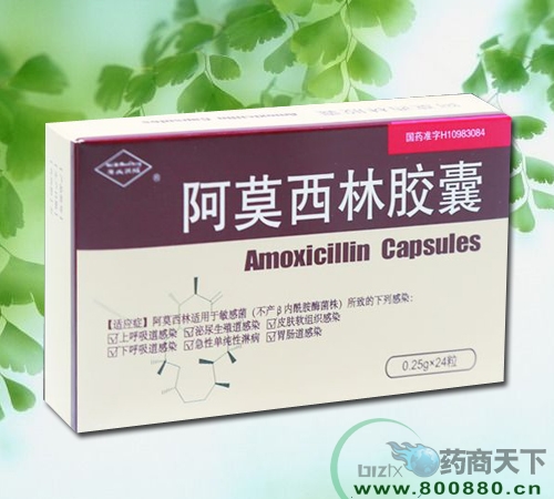 ��Ī�����z��