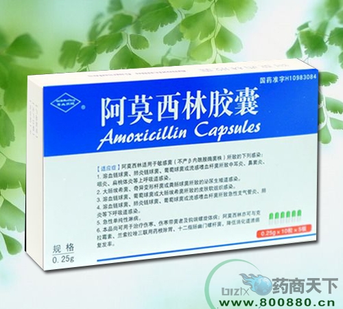 ��Ī�����z��