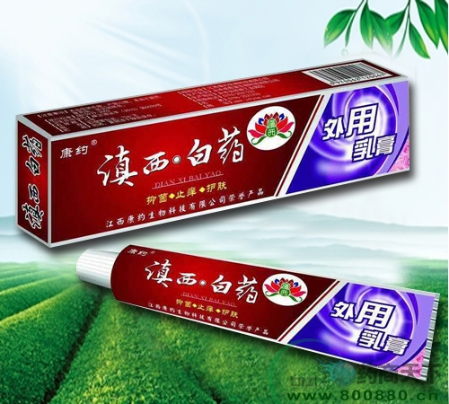 ������ˎ�������