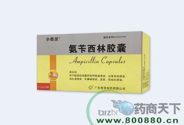 ���S�����z������|�f����