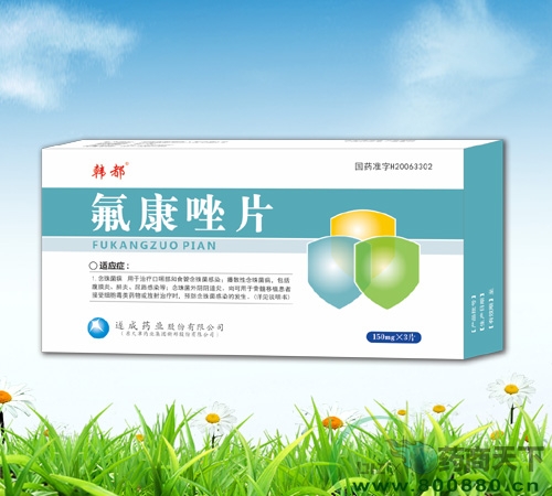 ������Ƭ