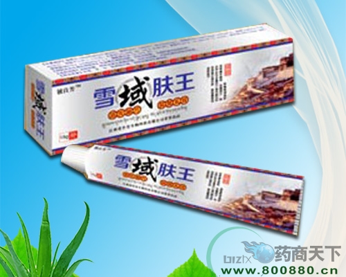 �����s��������Ƽ����޹�˾-ѩ���w���־����