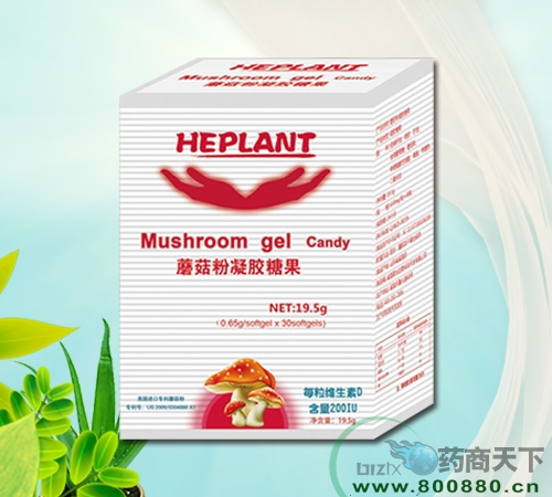 Ģ�������z�ǹ�