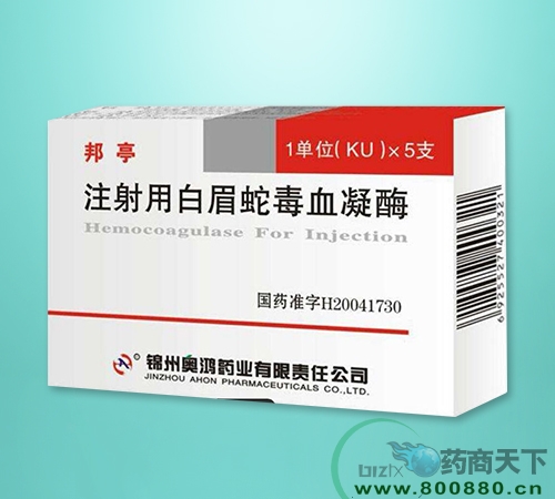 ע���ð�ü�߶�Ѫ��ø