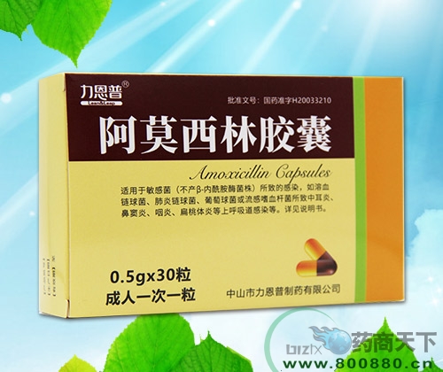 ��Ī�����z��