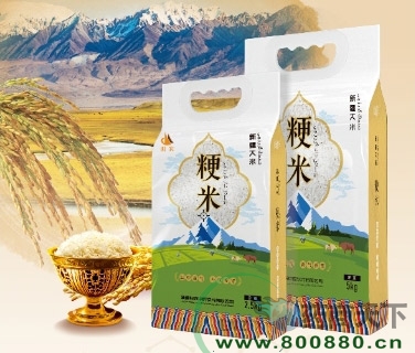 �½�����