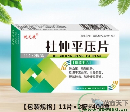 ����ƽ��Ƭ