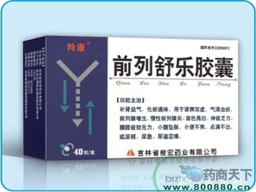 ǰ���昷�z��