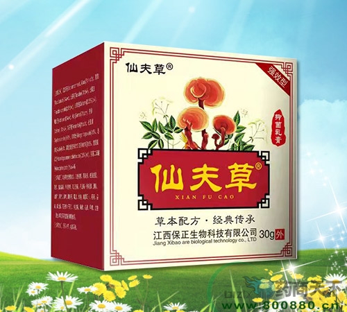 �V���ϱ�ͨˎ�I(y��)���޹�˾-�ɷ���־����