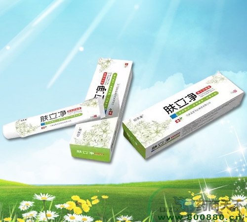 �V���ϱ�ͨˎ�I(y��)���޹�˾-�w�����ݱ��־���