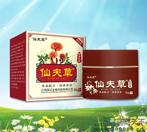 �V���ϱ�ͨˎ�I(y��)���޹�˾-�ɷ���־���� 