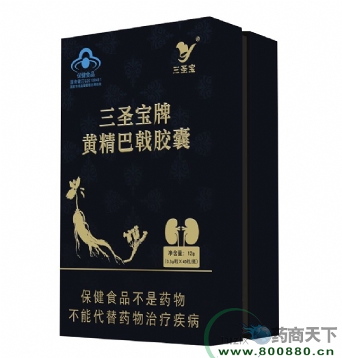 ��ʥ�����S������z��