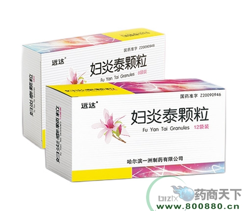 �D��̩�w����12�������ͣ� ���N��Ʒ