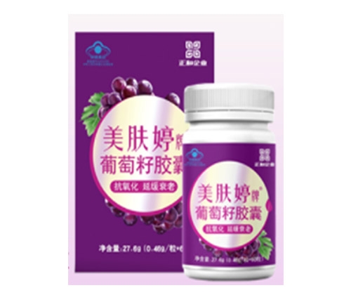 ���w���������z��