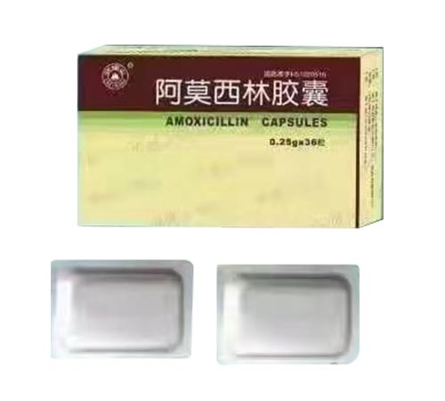 ��Ī�����z��