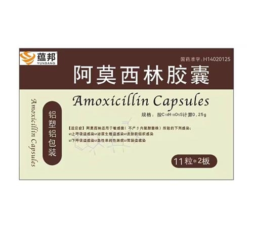 ��Ī�����z��