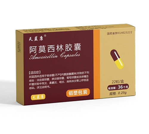 ���{�� ��Ī�����z��22������_�f����