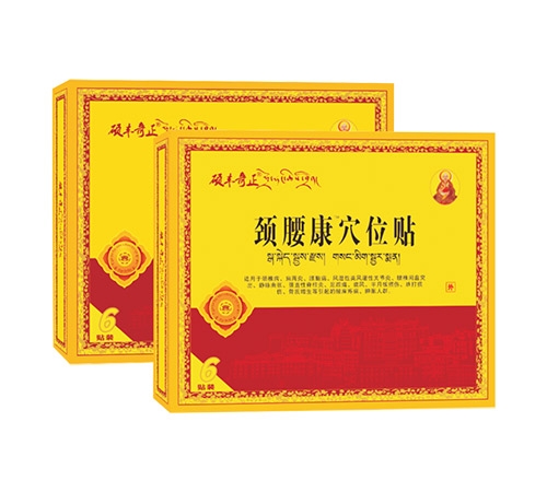 �T�S�����i��������N_����_�f����