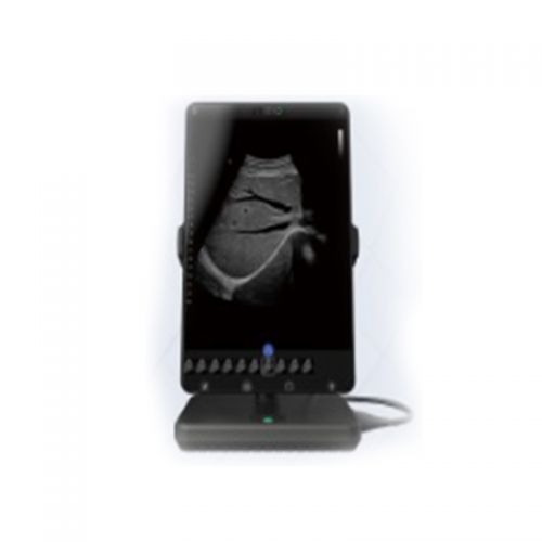 ˼��� ���ϲʳ� Lite-33P ����