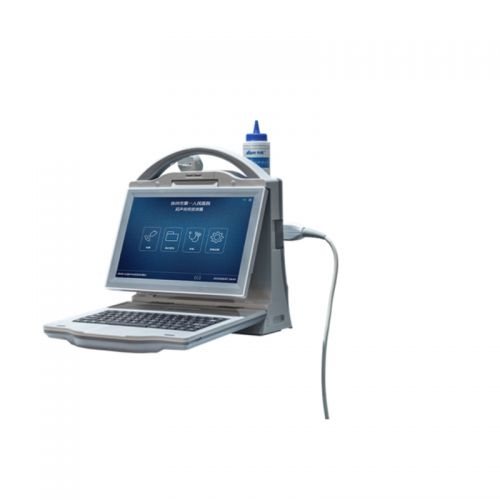 ƷԴ ��yʽ�����ܶȃx BMD-A3