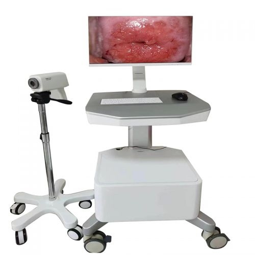 �¬� ���ꎵ��R��(sh��)�ֳ���ϵ�y(t��ng) XD-6000D