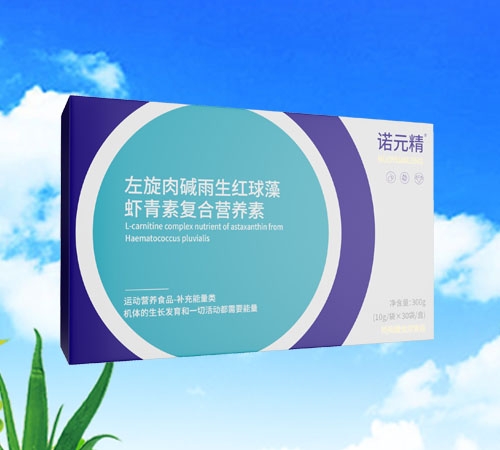 �ZԪ�� ������A�����t�����r���؏�(f��)�ϠI�B(y��ng)��