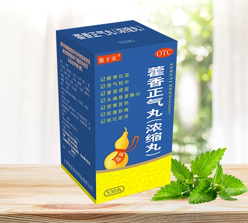 ޽��������