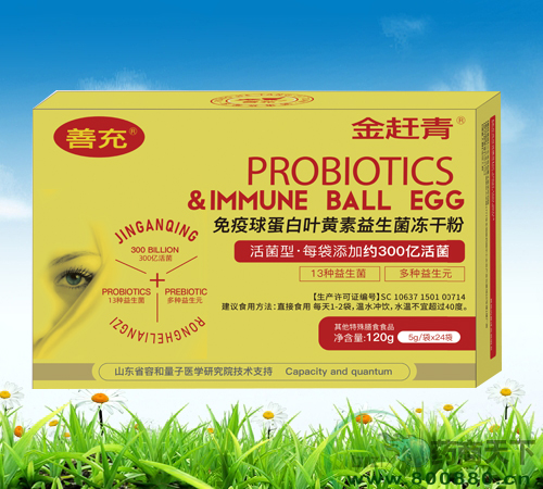 ���s�� �����򵰰��~�S�����������ɷ�