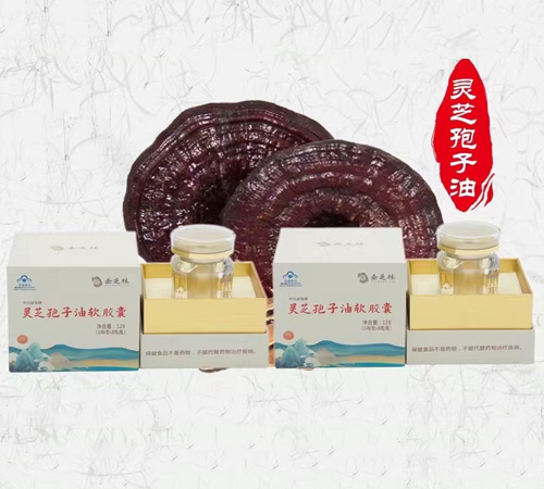 �`֥������ܛ�z��