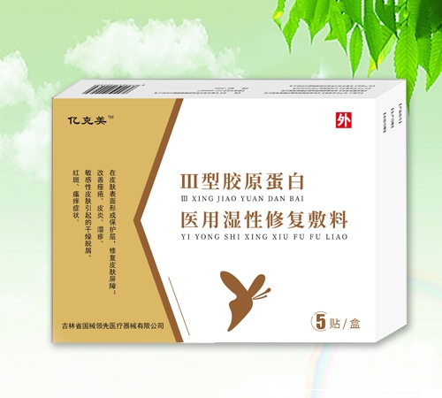 ����ʡ��(gu��)е�I(l��ng)���t(y��)����е���޹�˾-iii���zԭ�����t(y��)�Ý����ޏ�(f��)����