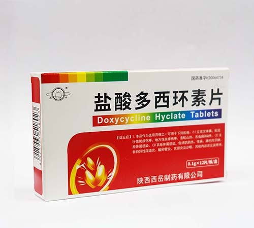 ����A���t(y��)ˎ���޹�˾-�}������h(hu��n)��Ƭ��12Ƭ��