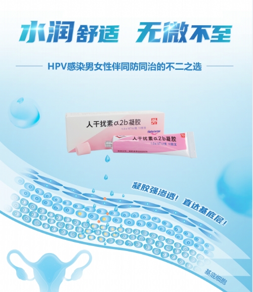 �˸ɔ_�ئ�2b���z(�Ⱦ���������_�f����