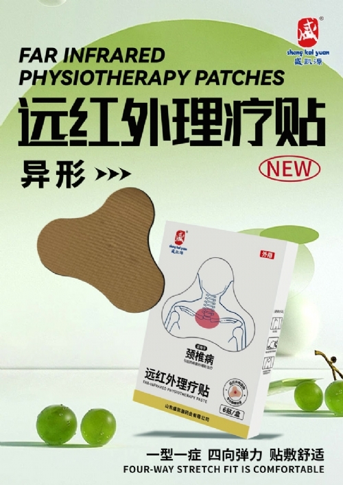 ɽ�|ʢ�PԴˎ�I(y��)���޹�˾-��ˎ�S���N�� �i��������ʹ�Noem�N�ƴ��ӹ�